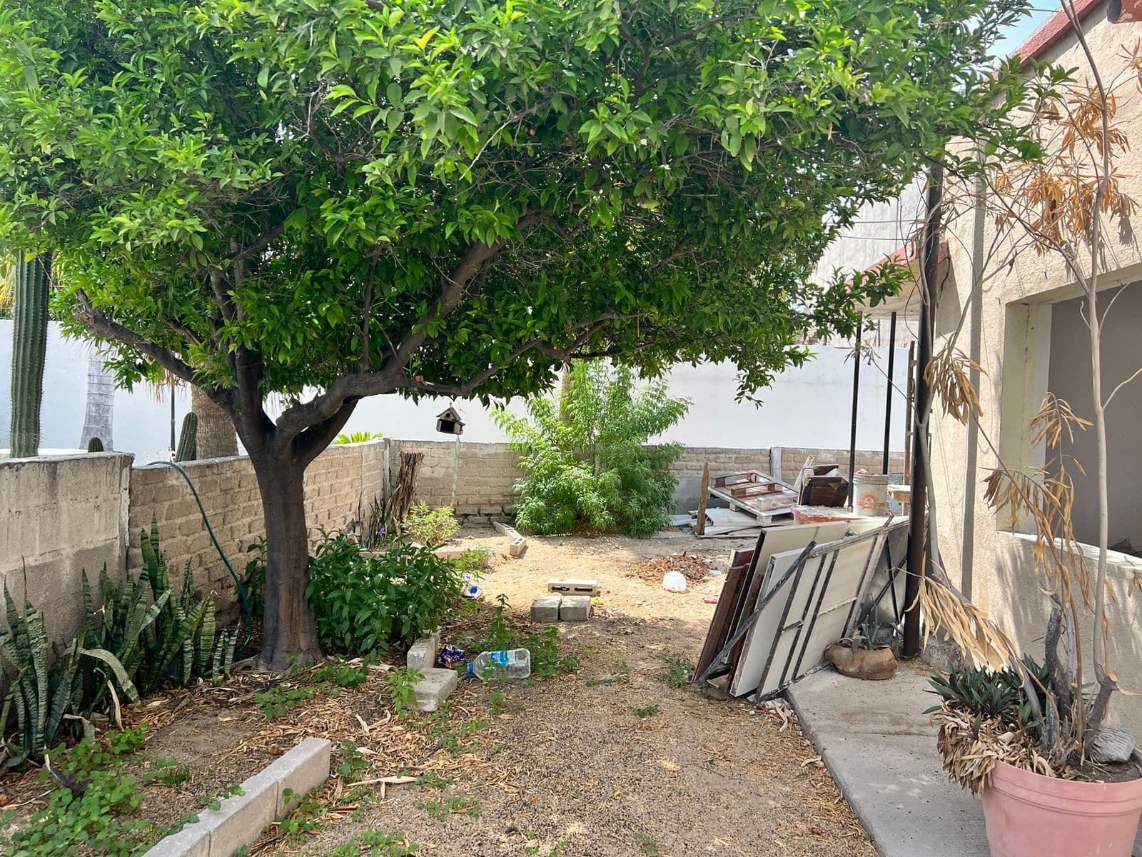 Remodelación Márquez de León